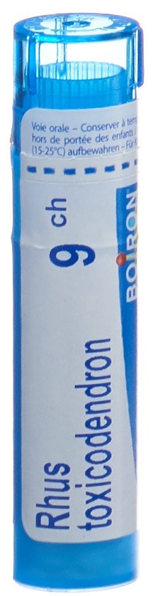 BOIRON Rhus toxicodendron Gran CH 9 4 g