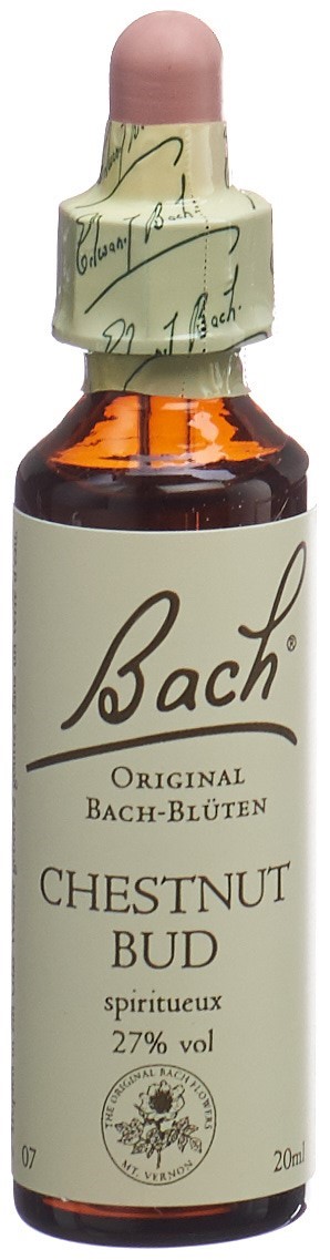 BACH-BLÜTEN Original Chestnut Bud No07 20 ml