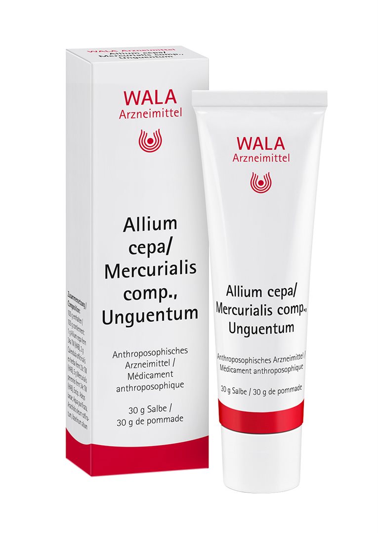 WALA Allium cepa/Mercurialis comp Salbe Tb 30 g